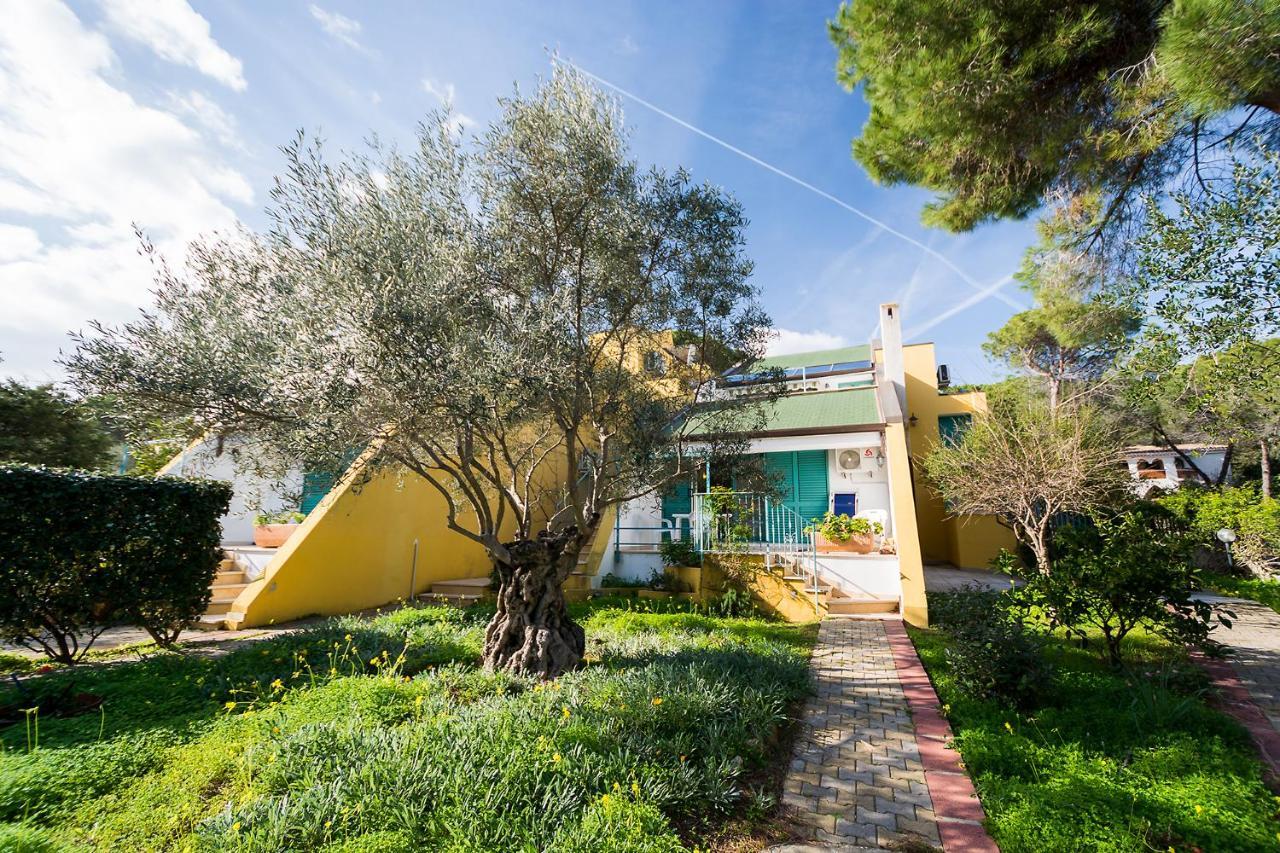 Hotiday Apartment Collection - Villa Alba Cala Liberotto Eksteriør bilde